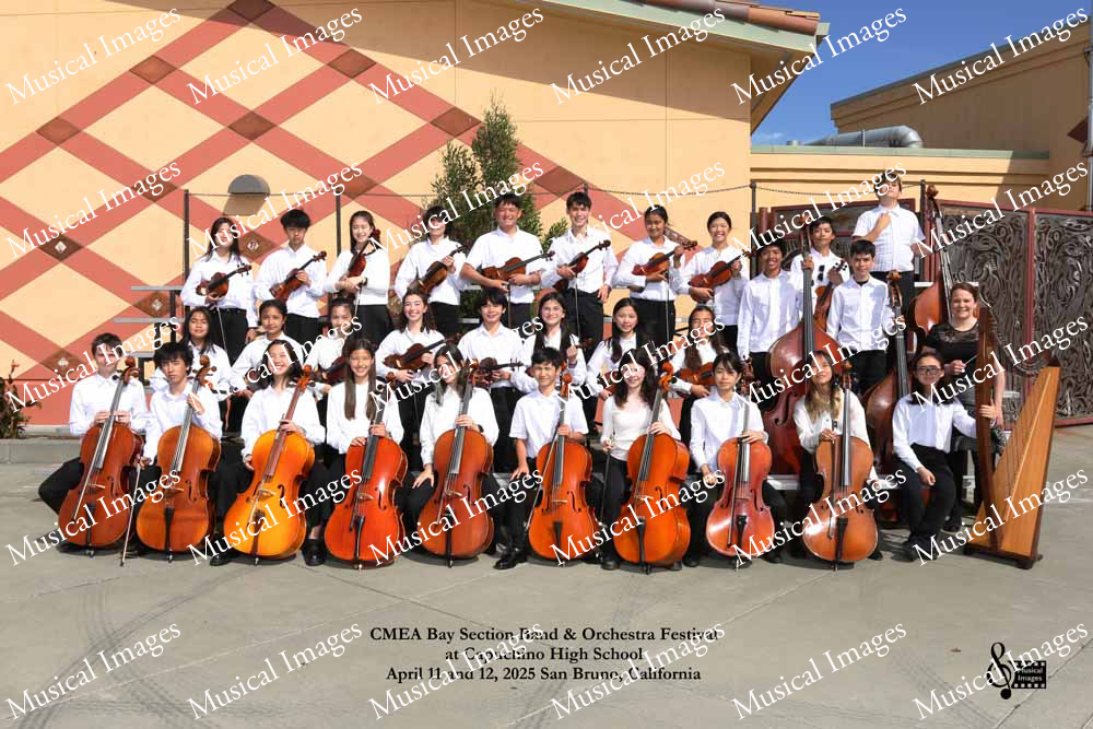 Musical Images